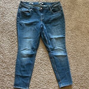 Vigoss Women's Blue Skinny Jeans